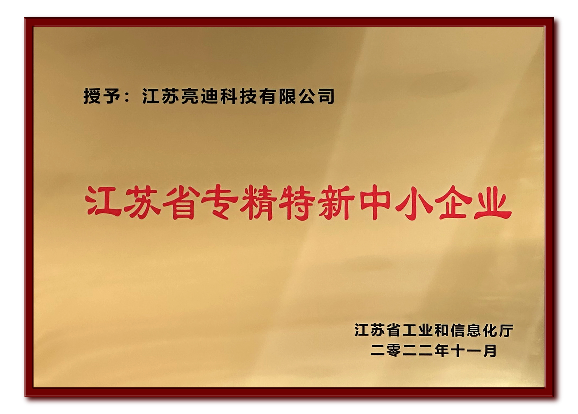 Honor again! Our company has won the “2022 Jiangsu Province Specialized innovation enterprise”